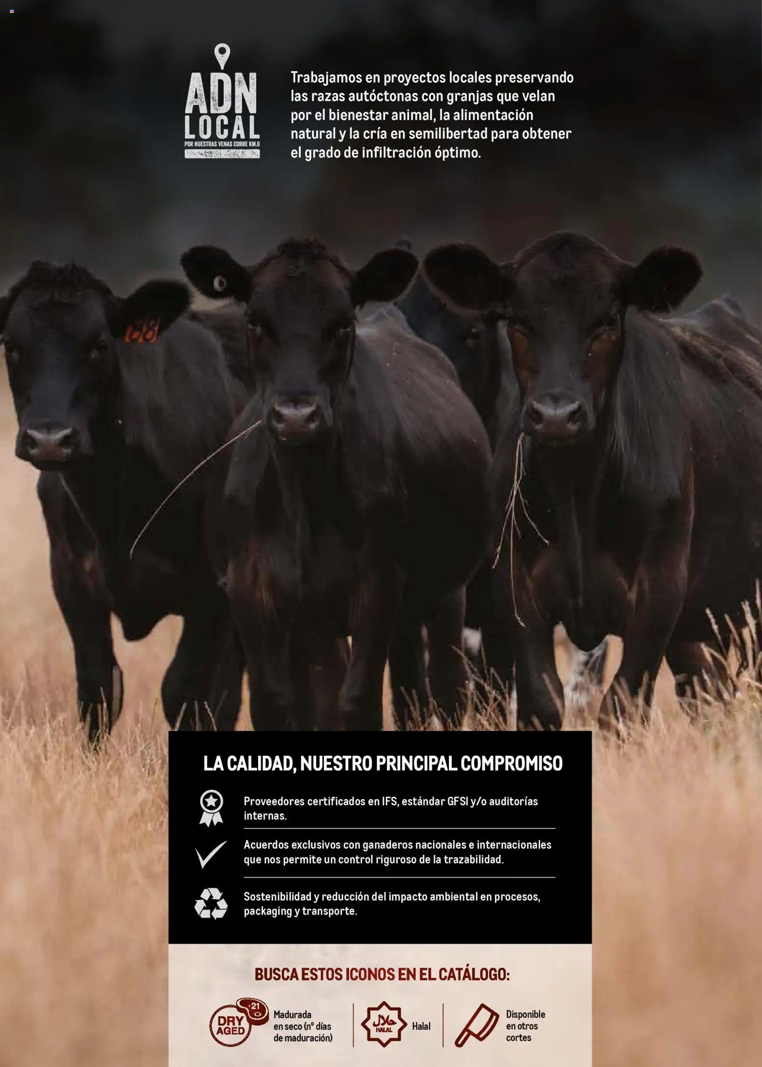 Makro - Especial Carnes Península │ válido desde el 03.11.2025 | Página: 2