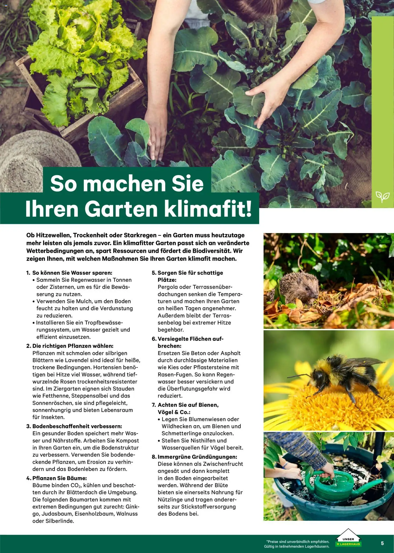 Lagerhaus  Garten und Freizeit Katalog 2026 gültig ab 22.02.2026 | Seite: 5 | Produkte: Wasser