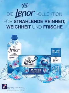 dm drogerie markt Active Beauty Magazin 09/2025 gültig ab 10.09.2025 | Seite: 8