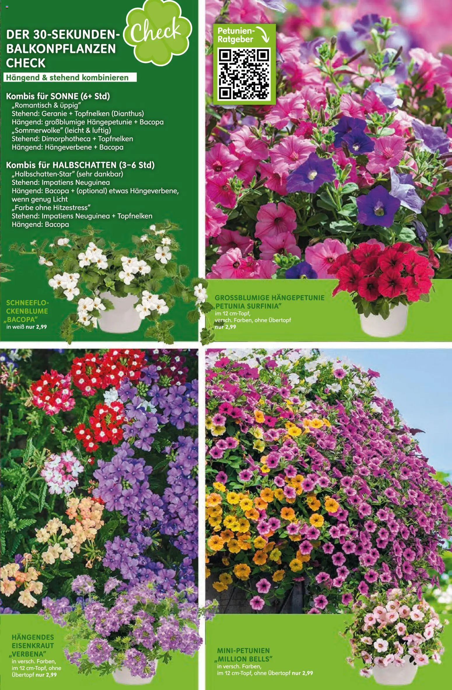 Blumen Risse Prospekt 	 – gültig ab 16.04.2026 | Seite: 5