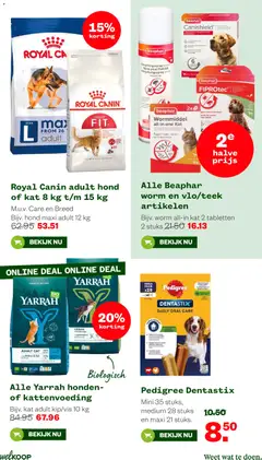 Welkoop folder - Voorbeeld van een folder van Welkoop, geldig van 13.04.2026 | Pagina: 8 | Producten: Kamerplanten, Festék