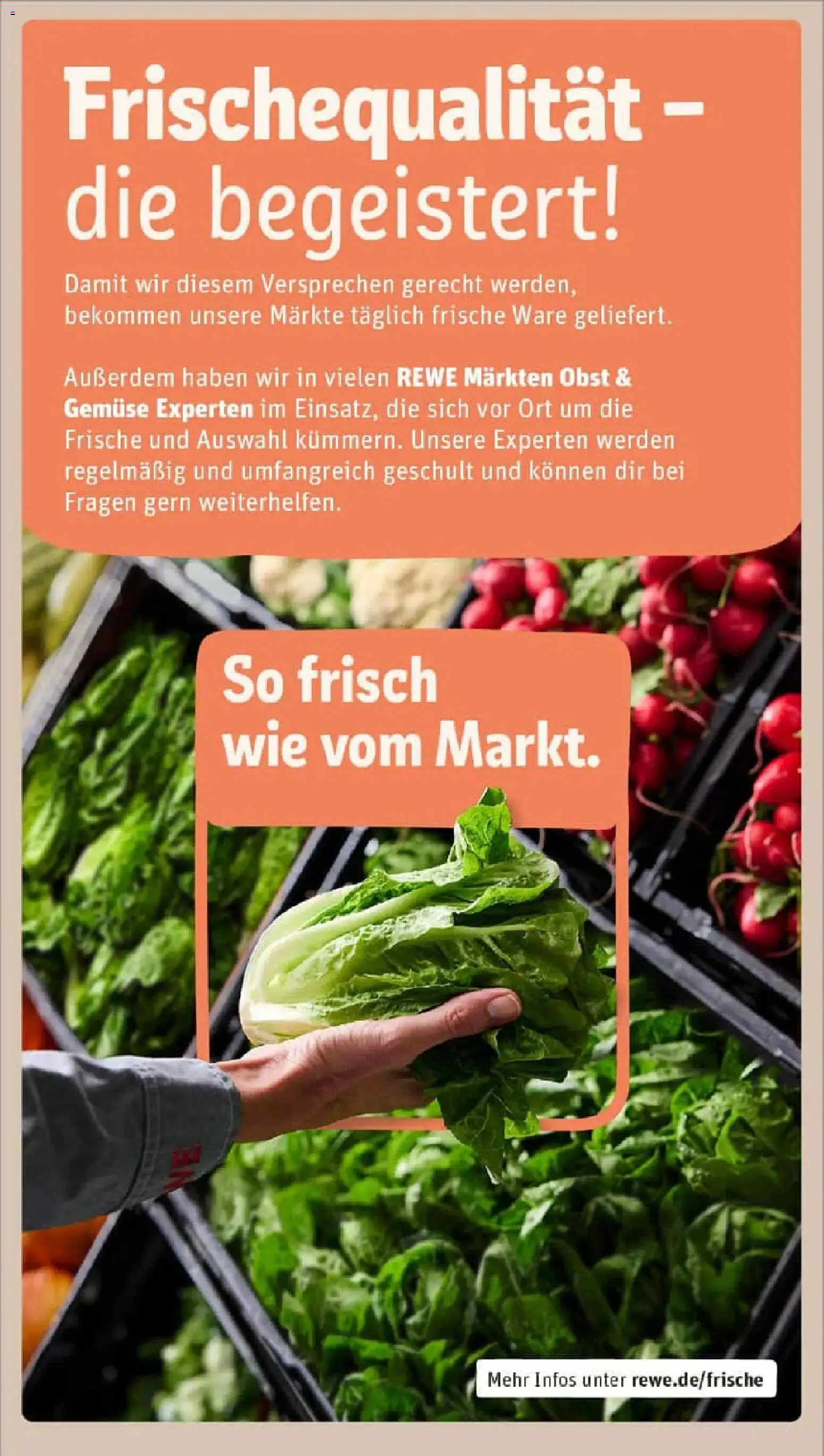 Rewe prospekt Waging Am See	 – gültig ab 26.01.2026 | Seite: 27 | Produkte: Gemüse, Obst