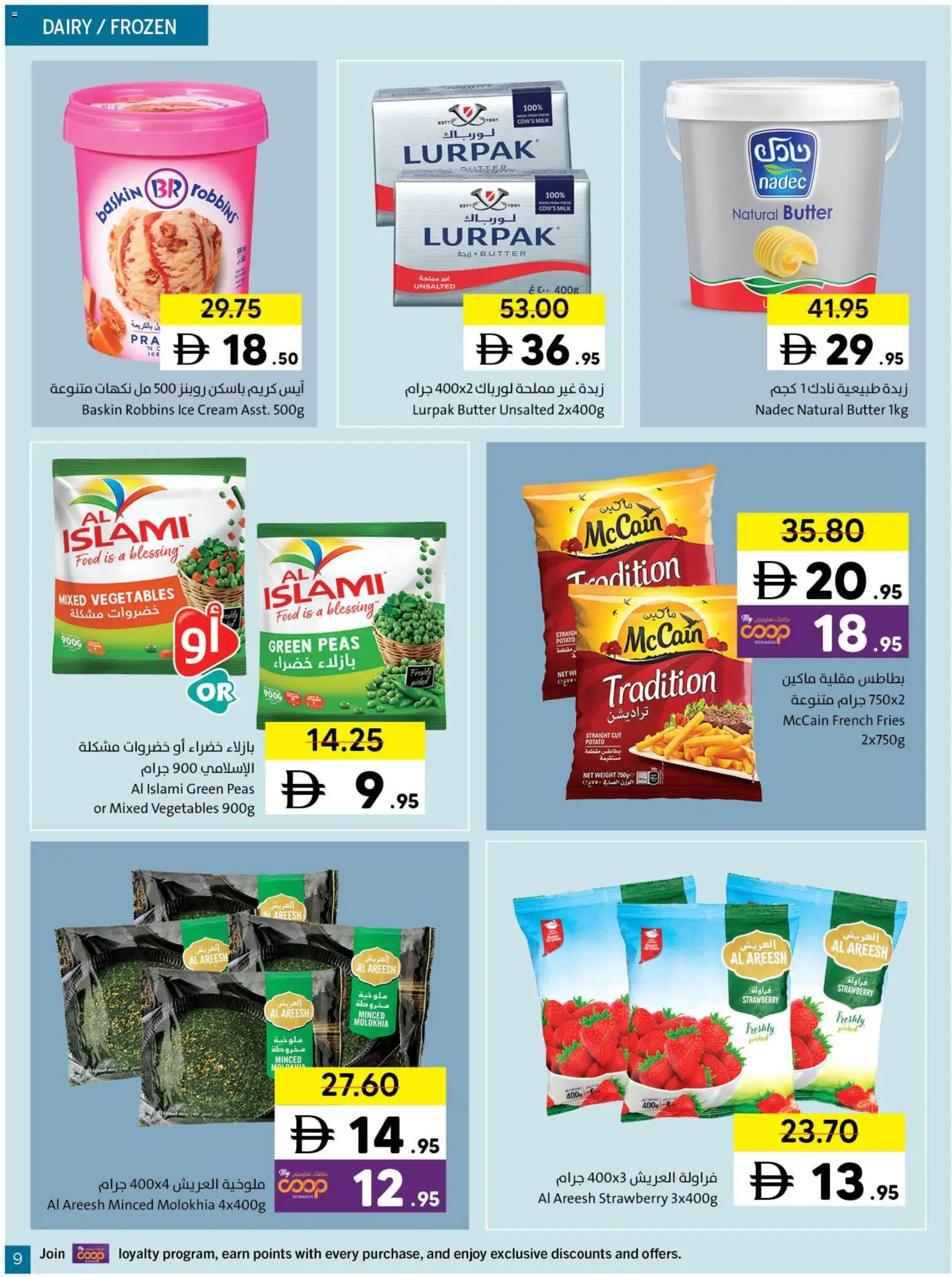 {H1} | Page: 9 | Products: Котлон