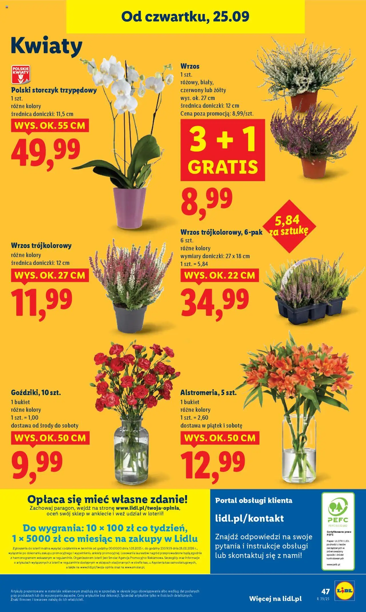 Lidl Gazetka od 25.09.2025 | Strona: 51 | Produkty: Wrzos, Doniczki, Storczyk, Kwiaty