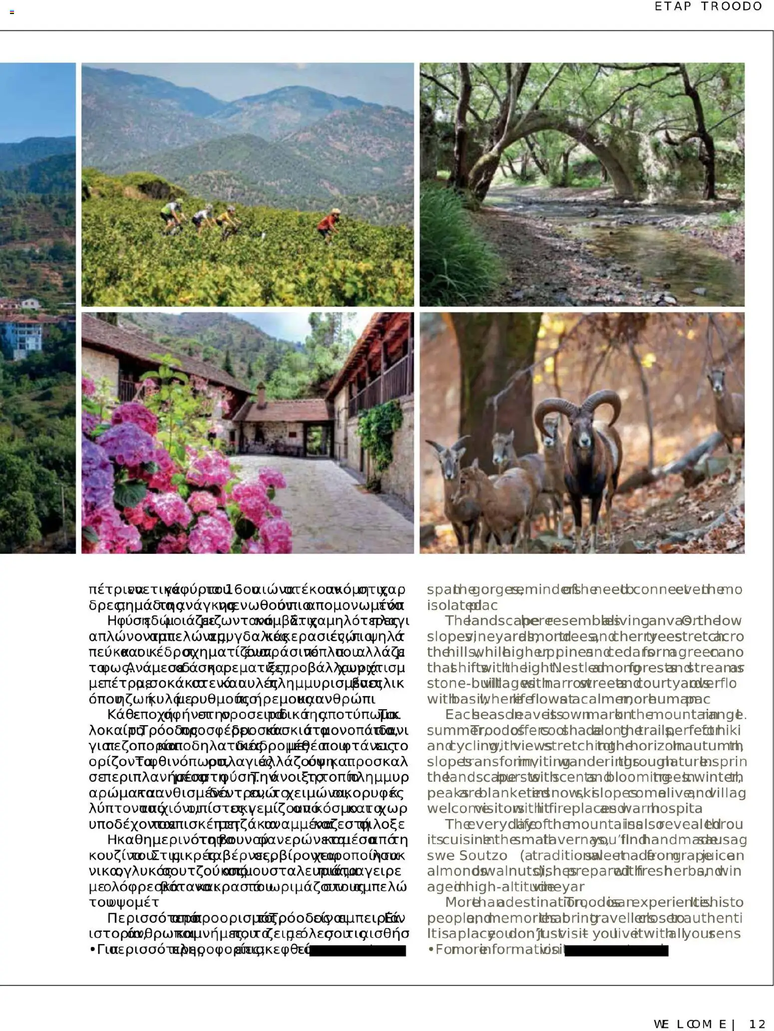 Hermes Airport - Φυλλάδιο – σε ισχύ από 13.11.2025 | Σελίδα: 121