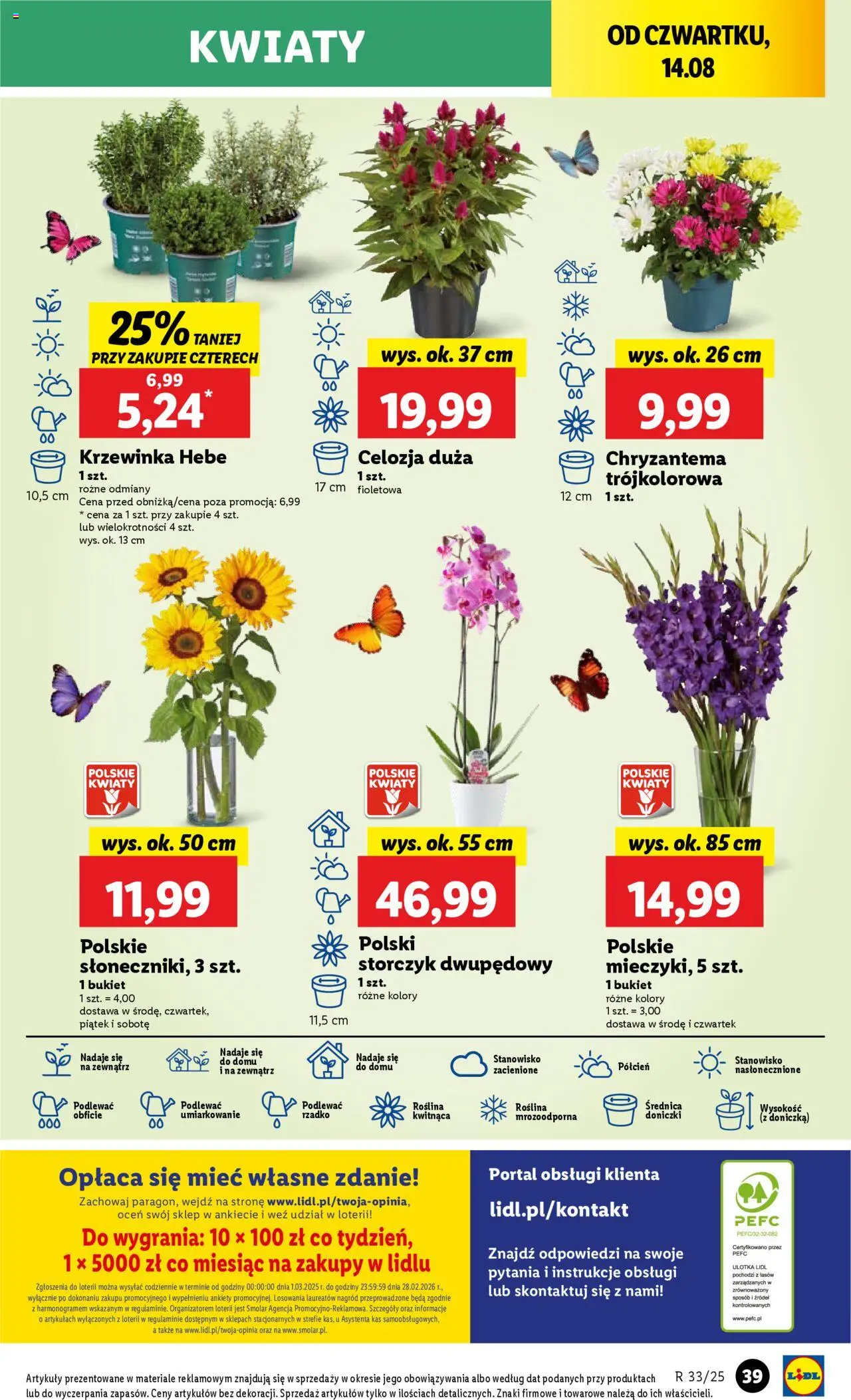Lidl Gazetka od 13.08.2025 | Strona: 41 | Produkty: Doniczka, Doniczki, Storczyk, Kwiaty
