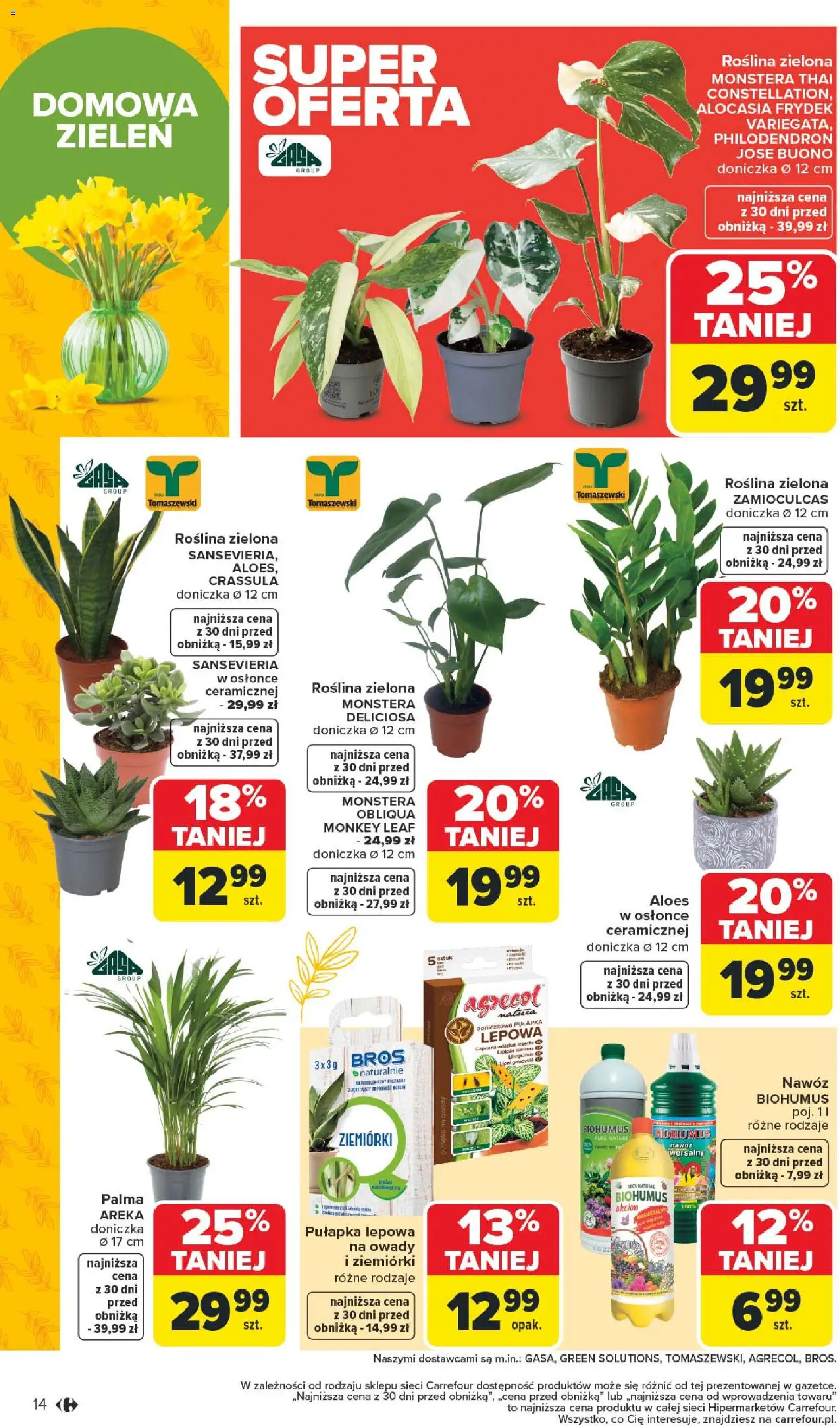 Carrefour Gazetka - Łap super okazje od 02.02.2026 | Strona: 14 | Produkty: Aloes, Doniczka, Zamioculcas