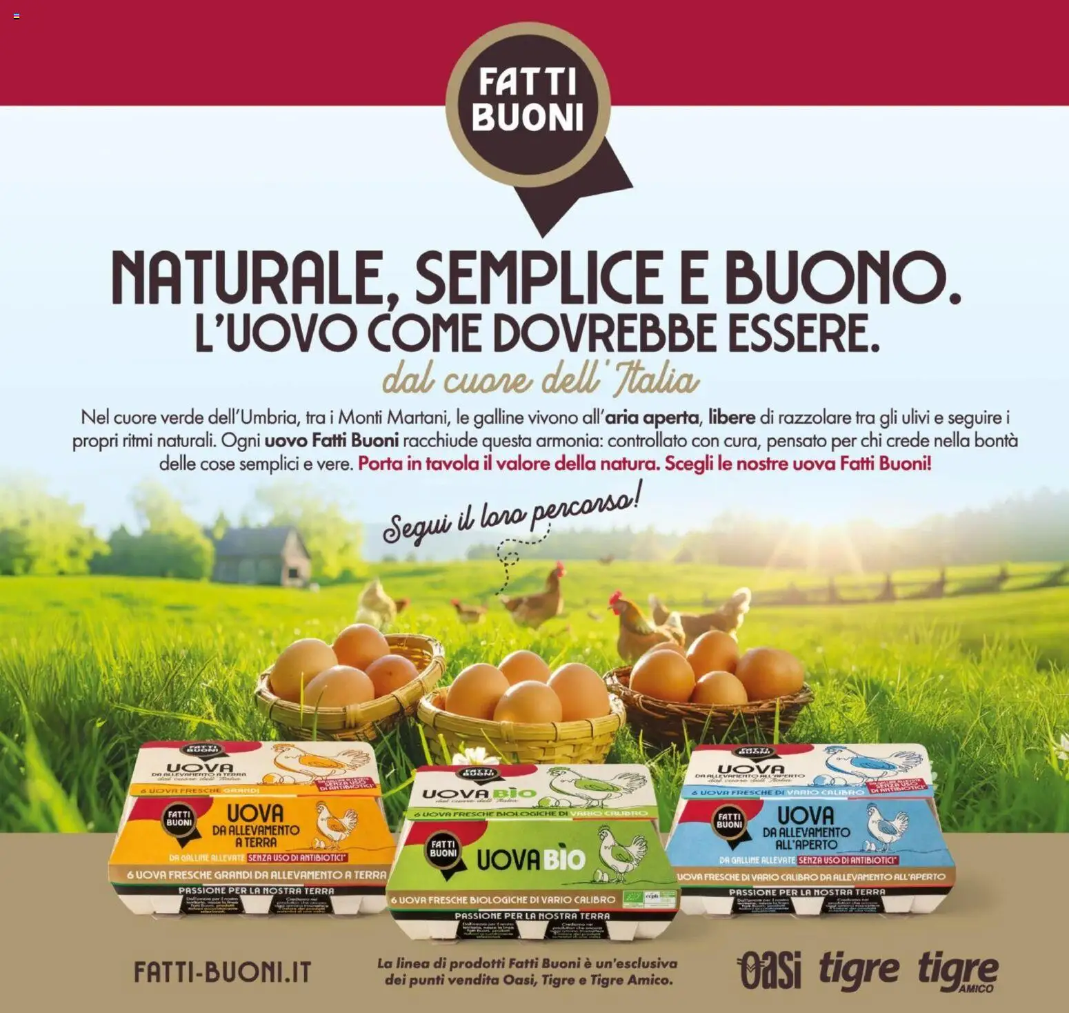 Volantino Oasi del 23.10.2025 | Pagina: 14 | Prodotti: Uova, Terra