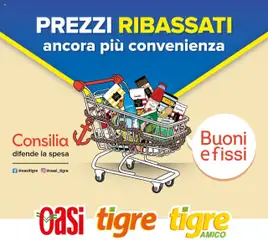 Anteprima del volantino Tigre Prezzi Ribassati catalogo valido a partire dal 20.08.2025