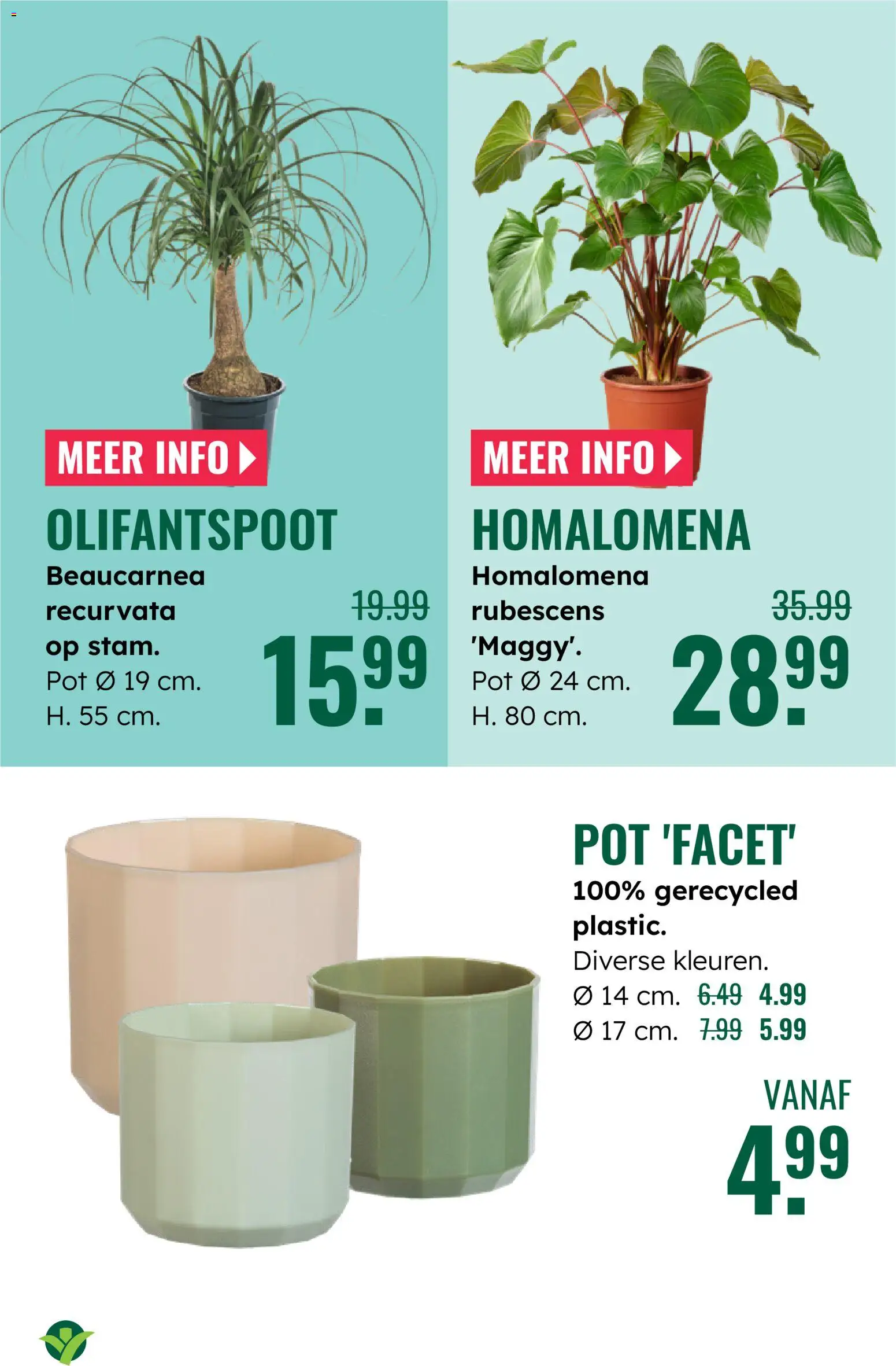 {H1} | Pagina: 6 | Producten: Pot