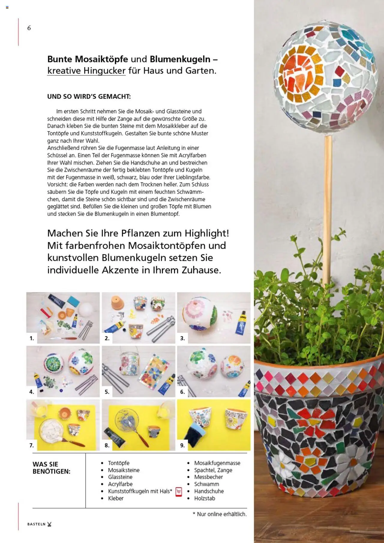 Pagro-Diskont Flugblatt gültig ab 08.05.2025 | Seite: 6 | Produkte: Handschuhe