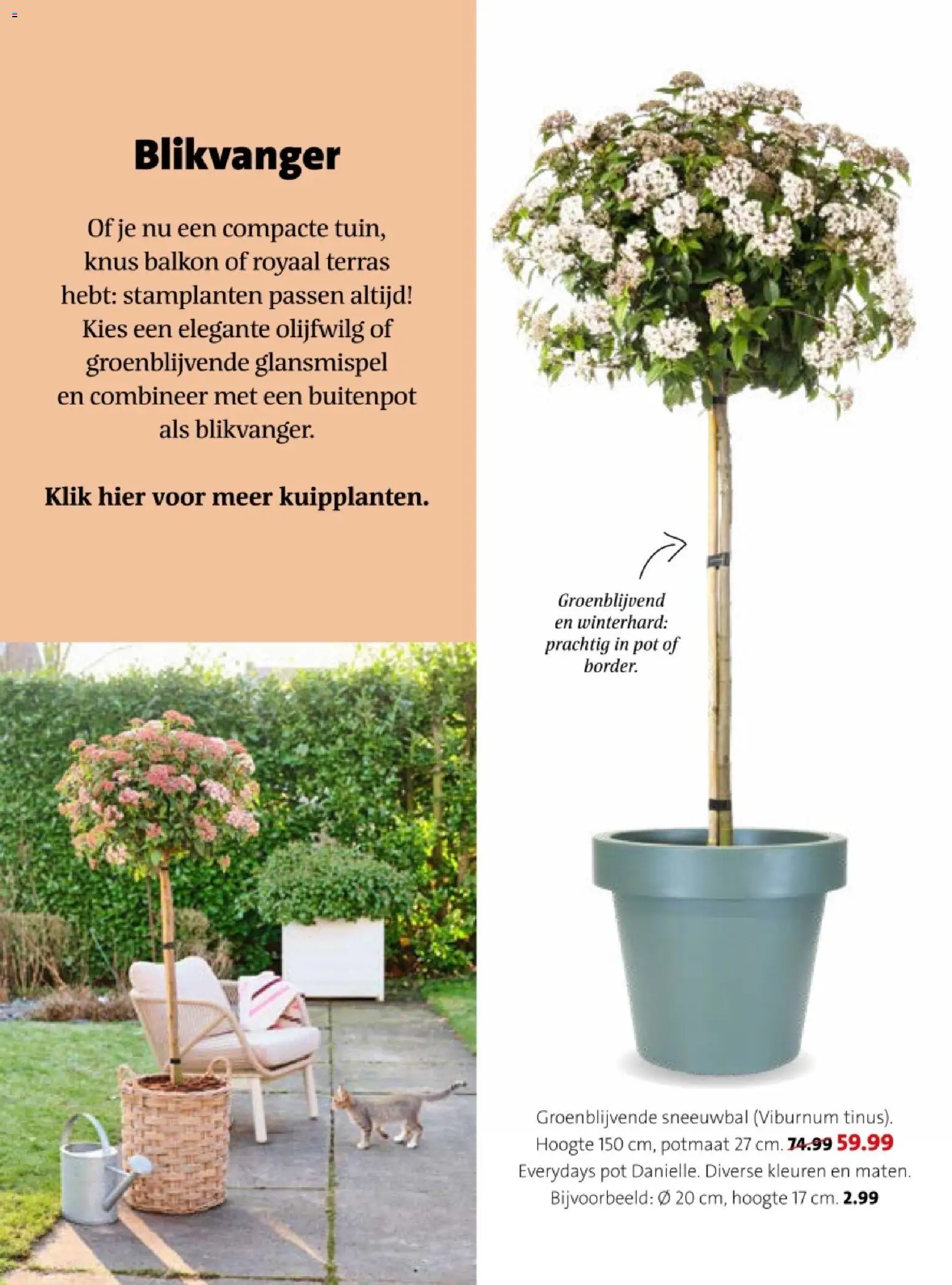 {H1} | Pagina: 21 | Producten: Pot