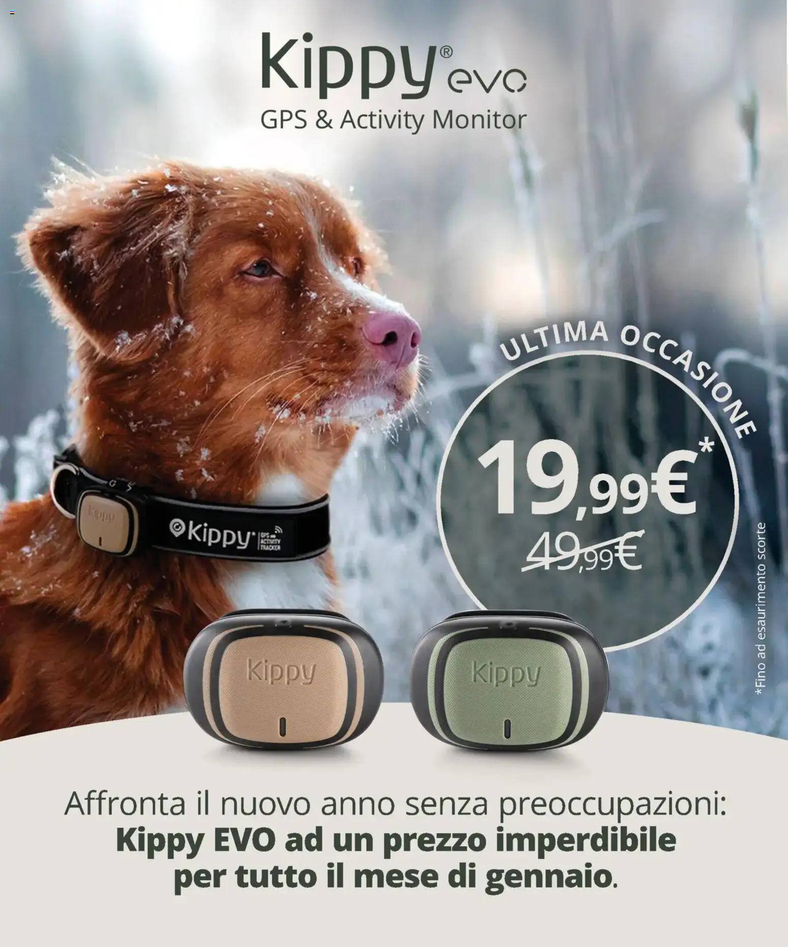 Volantino Arcaplanet del 19.01.2026 | Pagina: 18 | Prodotti: Monitor