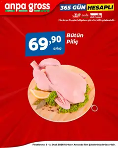 09.01.2026 tarihinden itibaren geçerli olan Anpa Gross kataloğu önizlemesi