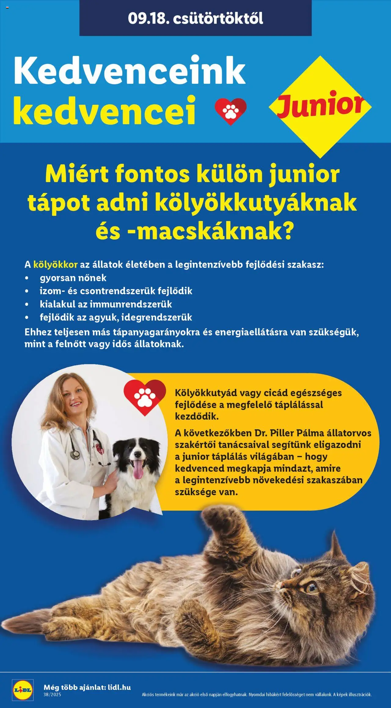 Lidl akciós ujság - amely érvényes a következő dátumtól: 18.09.2025 | Oldal: 30