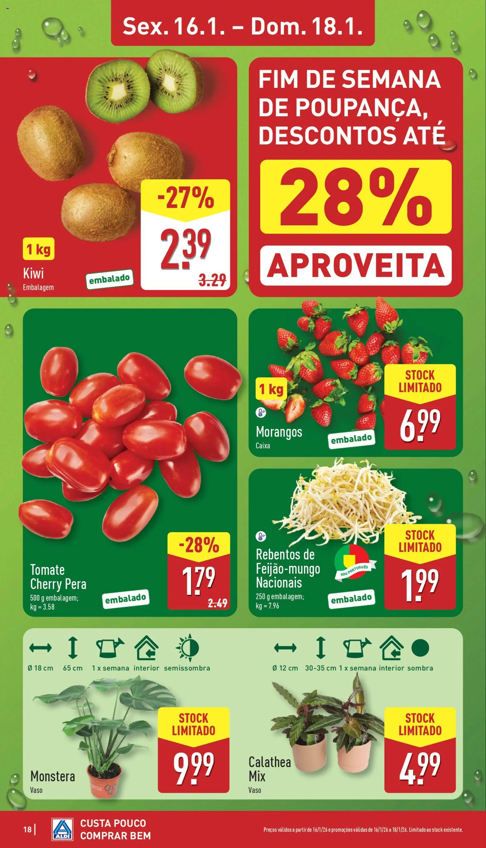Aldi folheto │ válido de 12.01.2026 | Página: 18 | Produtos: Vaso, Tomate, Morangos, Kiwi