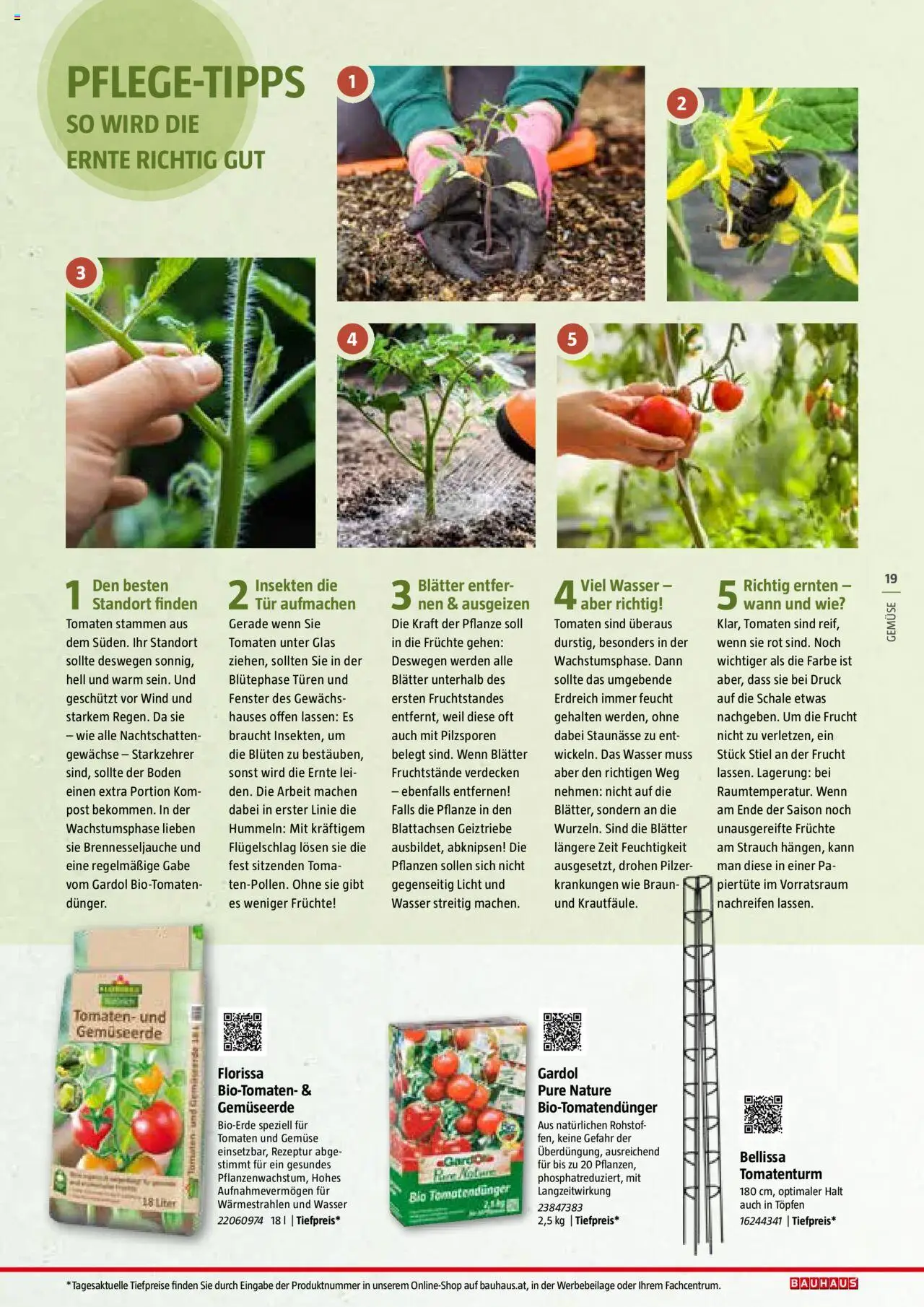 Bauhaus Reiche Ernte Magazin 2025 gültig ab 01.07.2025 | Seite: 19 | Produkte: Wasser, Gemüse, Tomaten