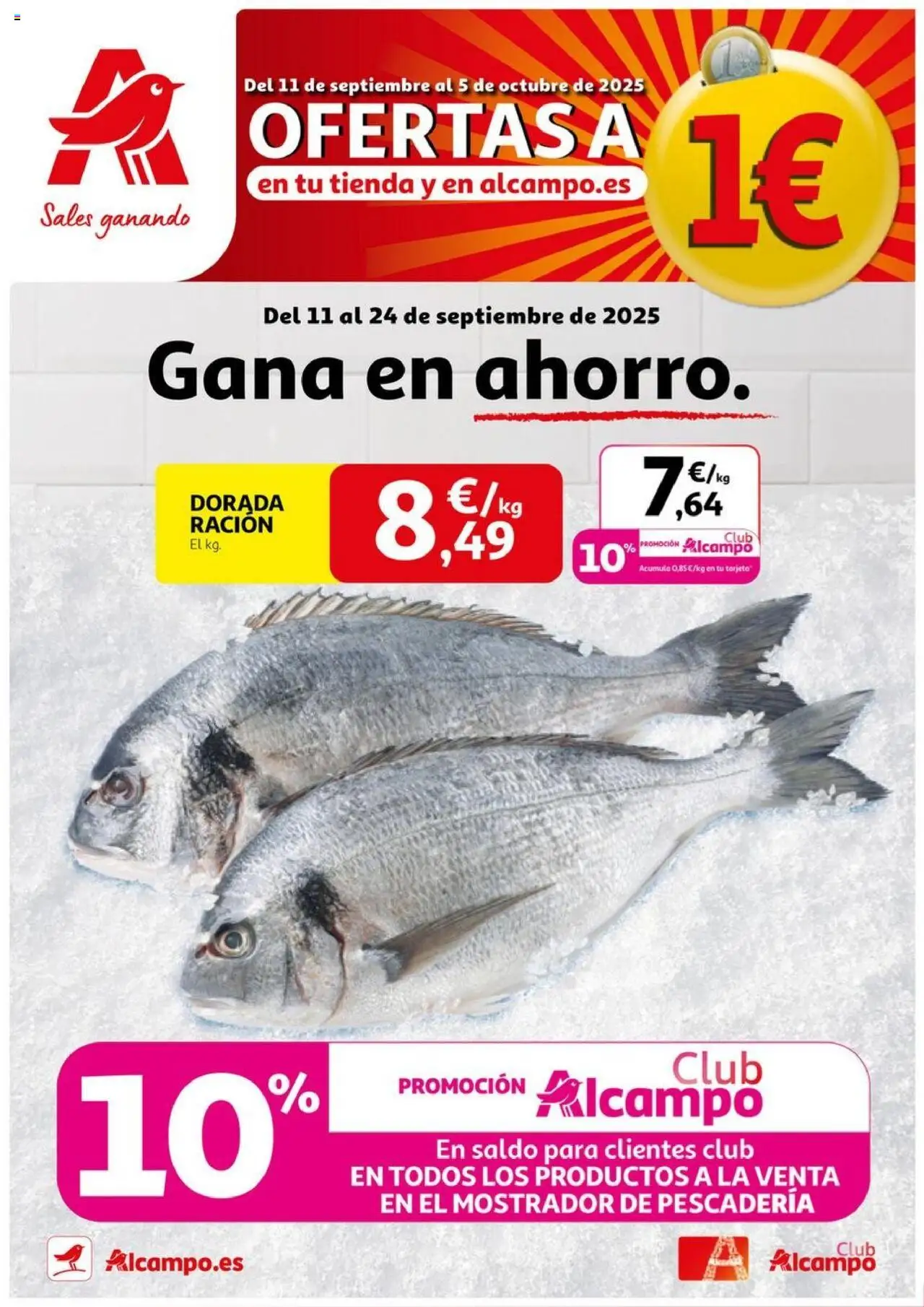Alcampo - HP Nacional  │ válido desde el 11.09.2025 | Página: 1
