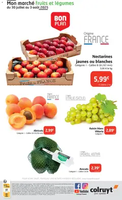  | Page: 20 | Produits: Raisin, Plateau, Abricots, Thé