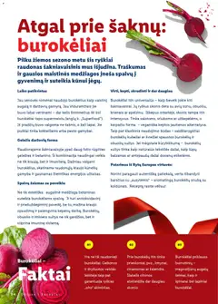 LIDL leidinys galioja nuo 23.11.2025 | Puslapis: 24 | Prekių: Balzamas, Jautienos, Sultys