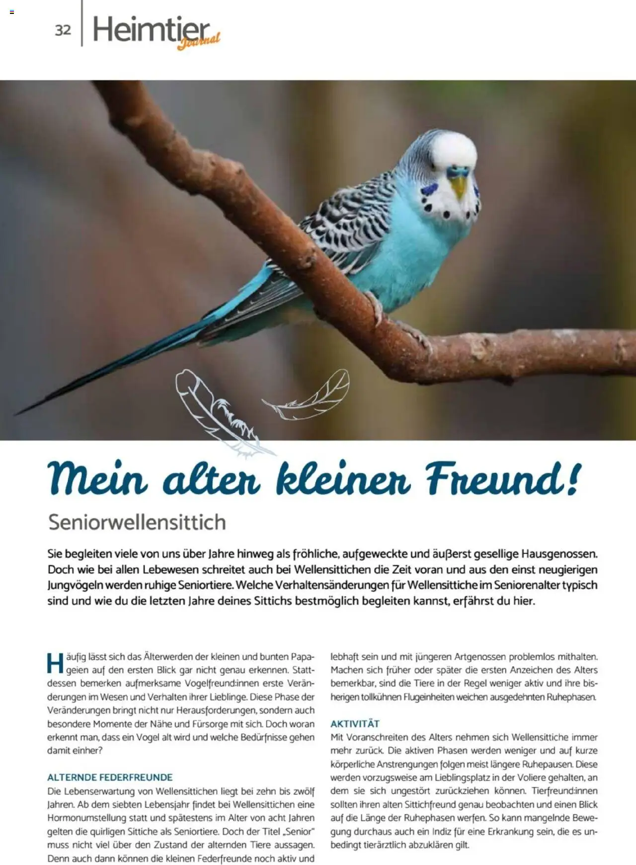 zookauf  Heimtier Journal - gültig ab dem 21.07.2025 | Seite: 32