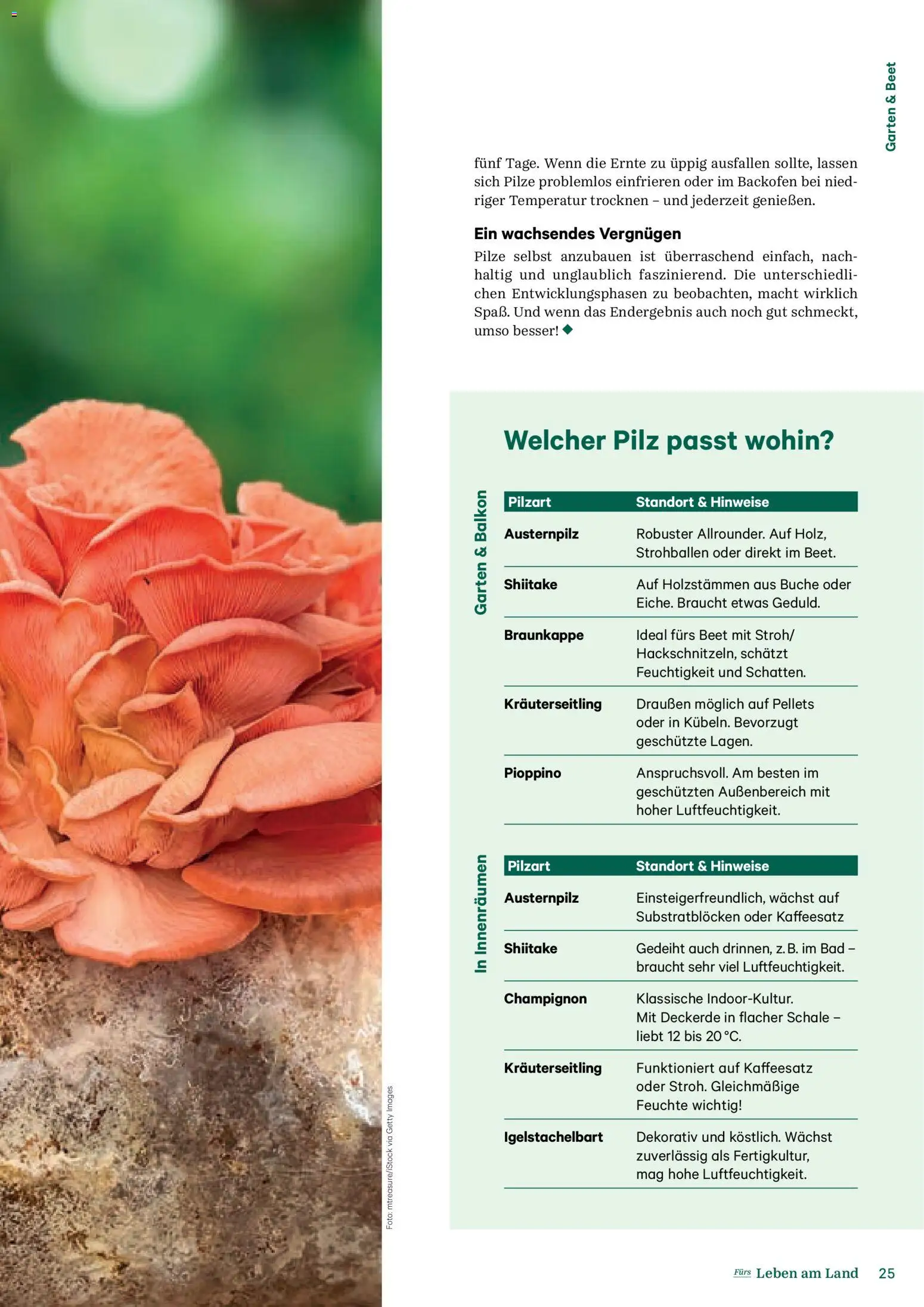 Lagerhaus Fürs Leben am Land gültig ab 01.11.2025 | Seite: 25 | Produkte: Bad