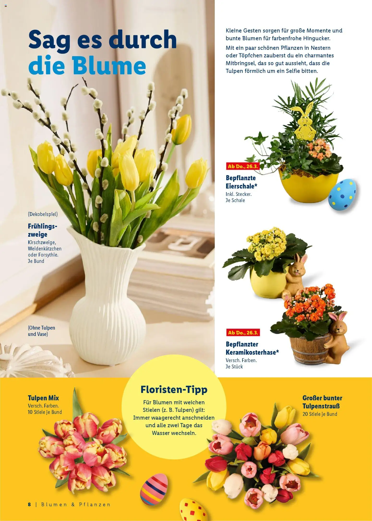 Lidl - Prospekt – gültig ab 09.03.2026 | Seite: 8 | Produkte: Blumen, Vase, Wasser