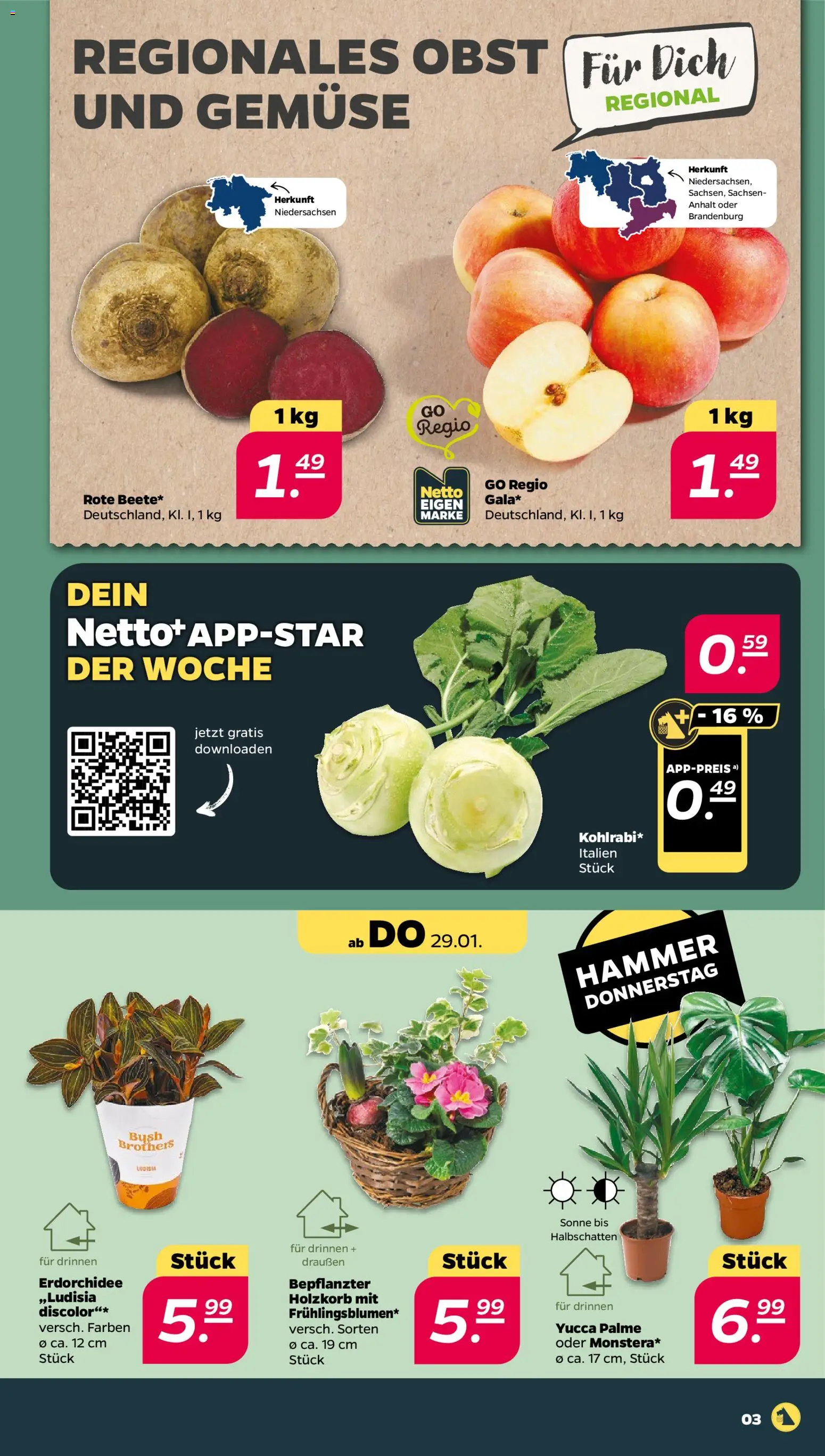 Netto Prospekt 	 – gültig ab 25.01.2026 | Seite: 3 | Produkte: Holzkorb, Gemüse, Obst