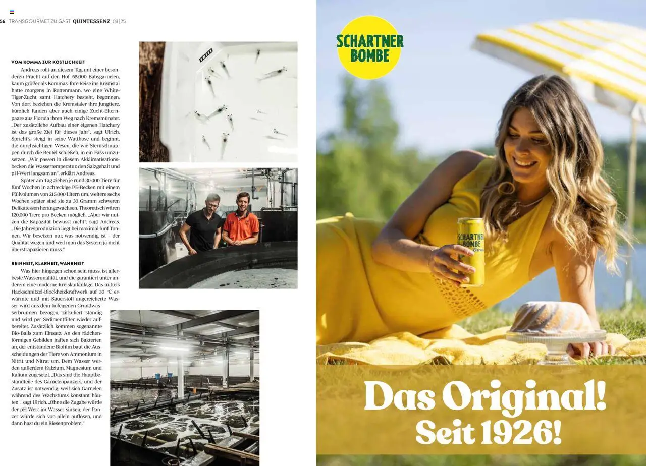 Transgourmet Quintessenz 03 | 2025 gültig ab 06.10.2025 | Seite: 30 | Produkte: Wasser