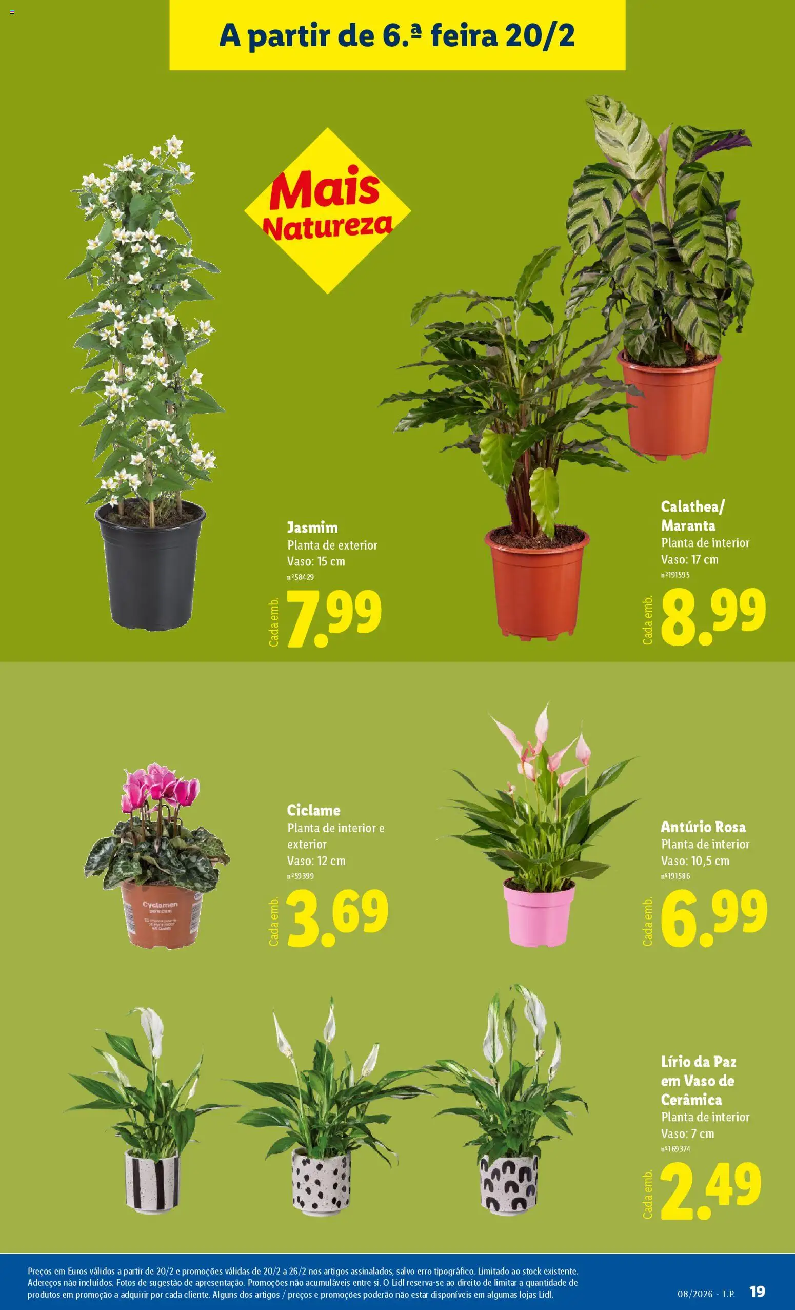 Lidl Novidades │ válido de 16.02.2026 | Página: 19 | Produtos: Vaso