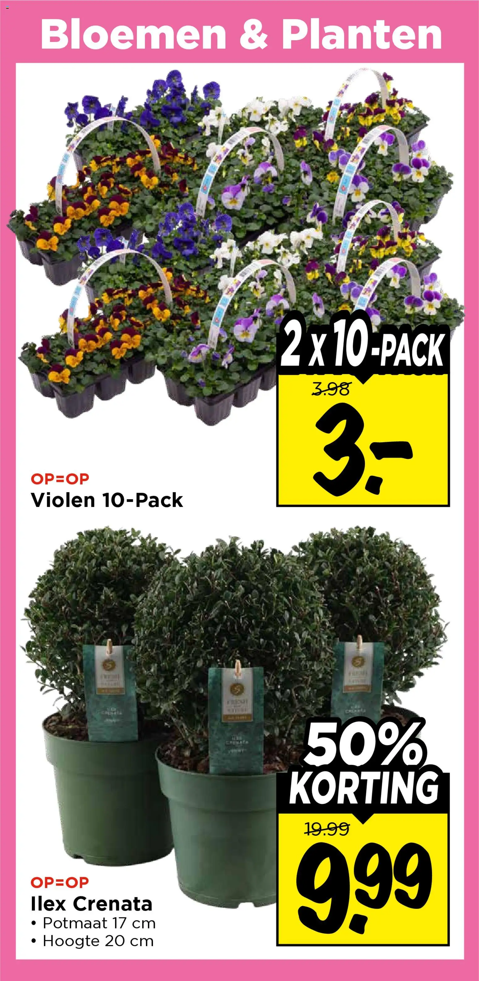 {H1} | Pagina: 31 | Producten: Bloemen