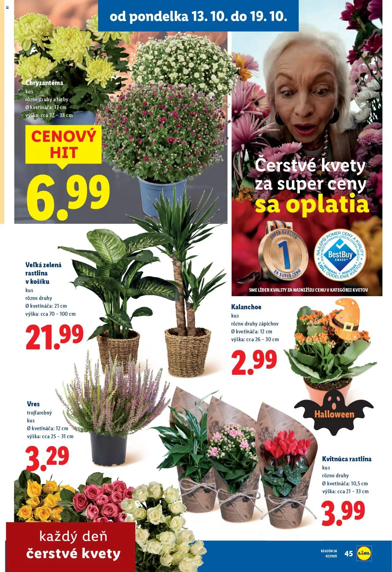Nové Lidl akcie – leták je platný od 13.10.2025 | Strana: 71 | Produkty: Kvety