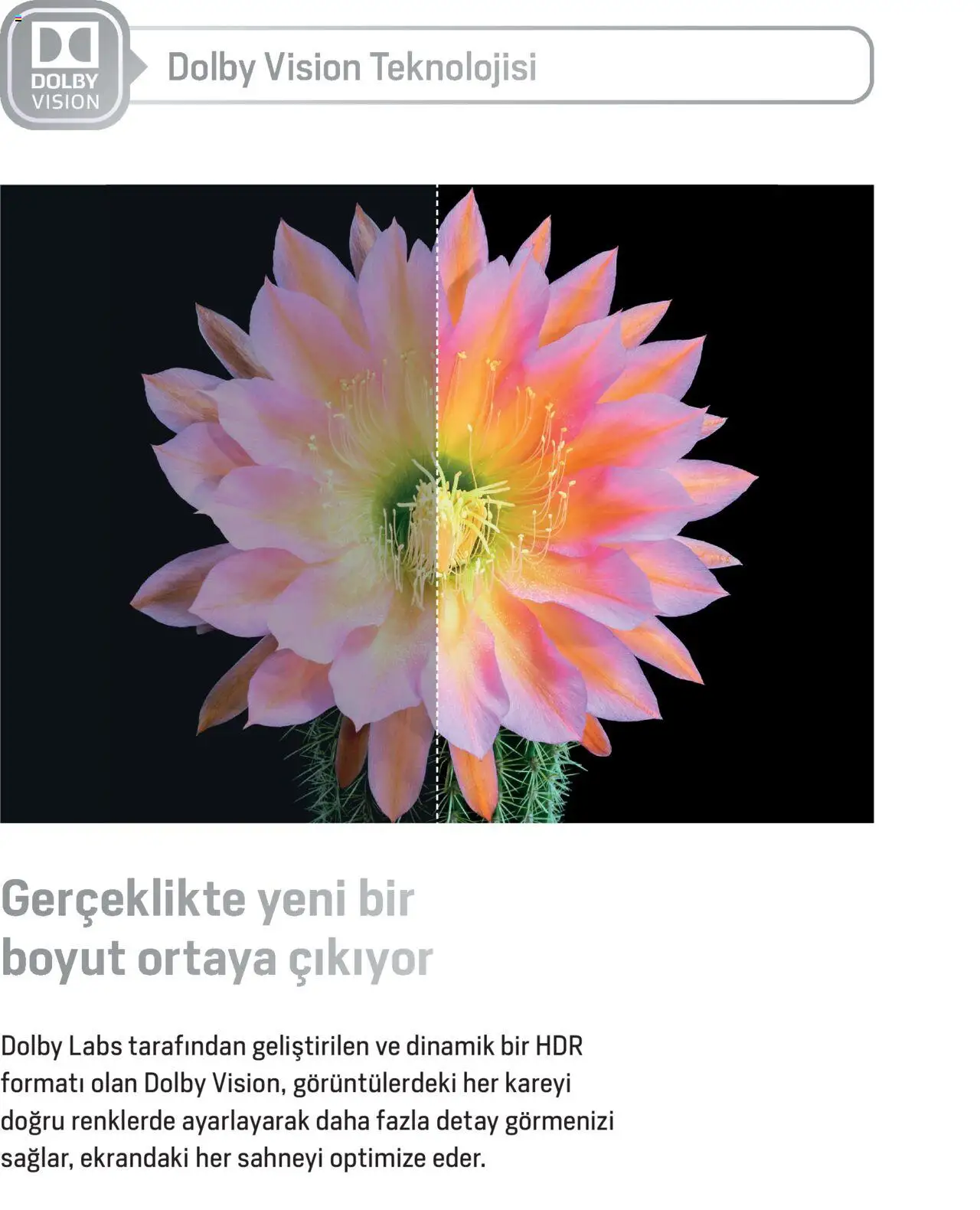 Arçelik Katalog - TV Ürün Gamı - 01.09.2022 tarihinden itibaren geçerlidir | Sayfa: 6
