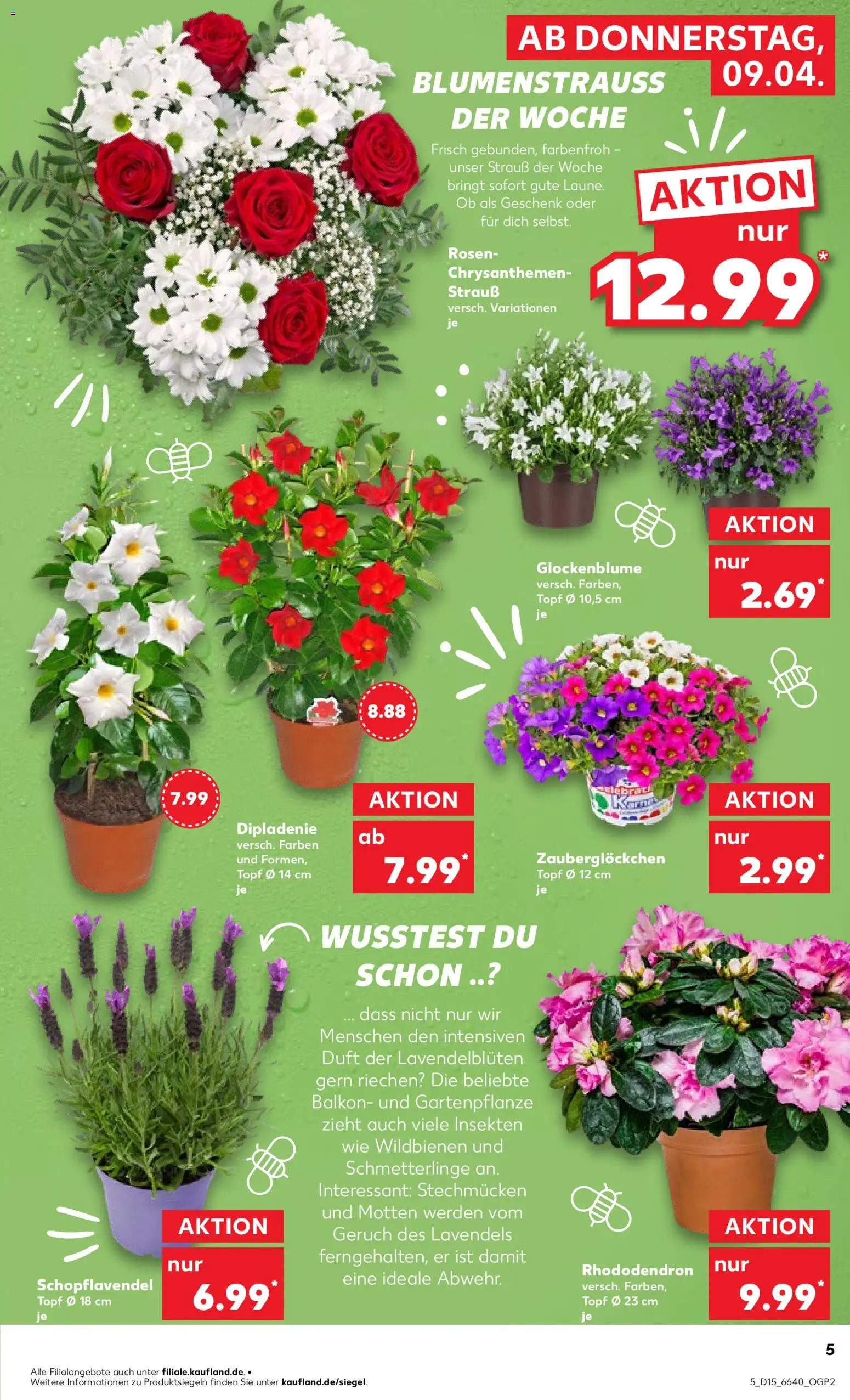 Kaufland Německo leták od 09.04.2026 | Strana: 5