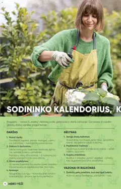 MOKI VEŽI - Leidinys│galioja nuo 24.07.2025 | Puslapis: 12 | Prekių: Kukurūzai