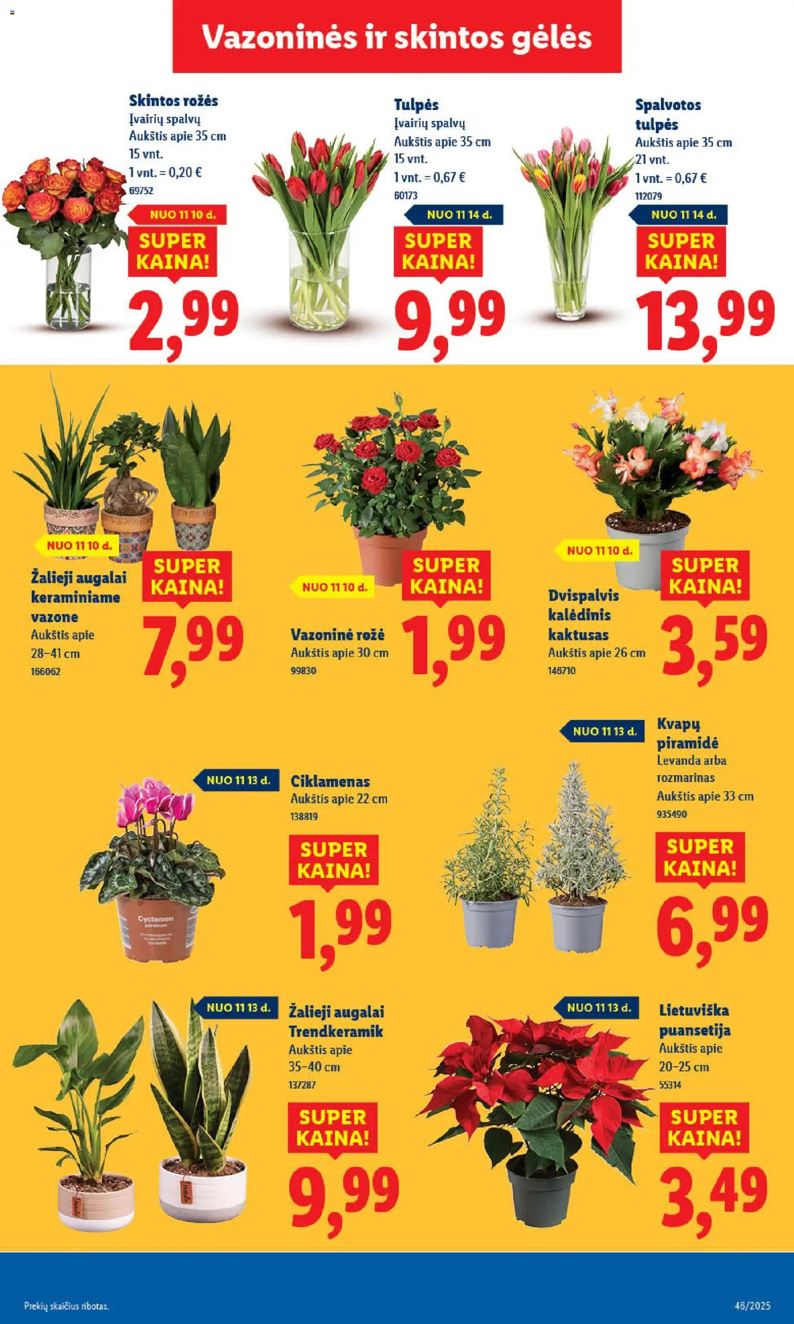 LIDL akcijos nuo 10.11.2025 | Puslapis: 39