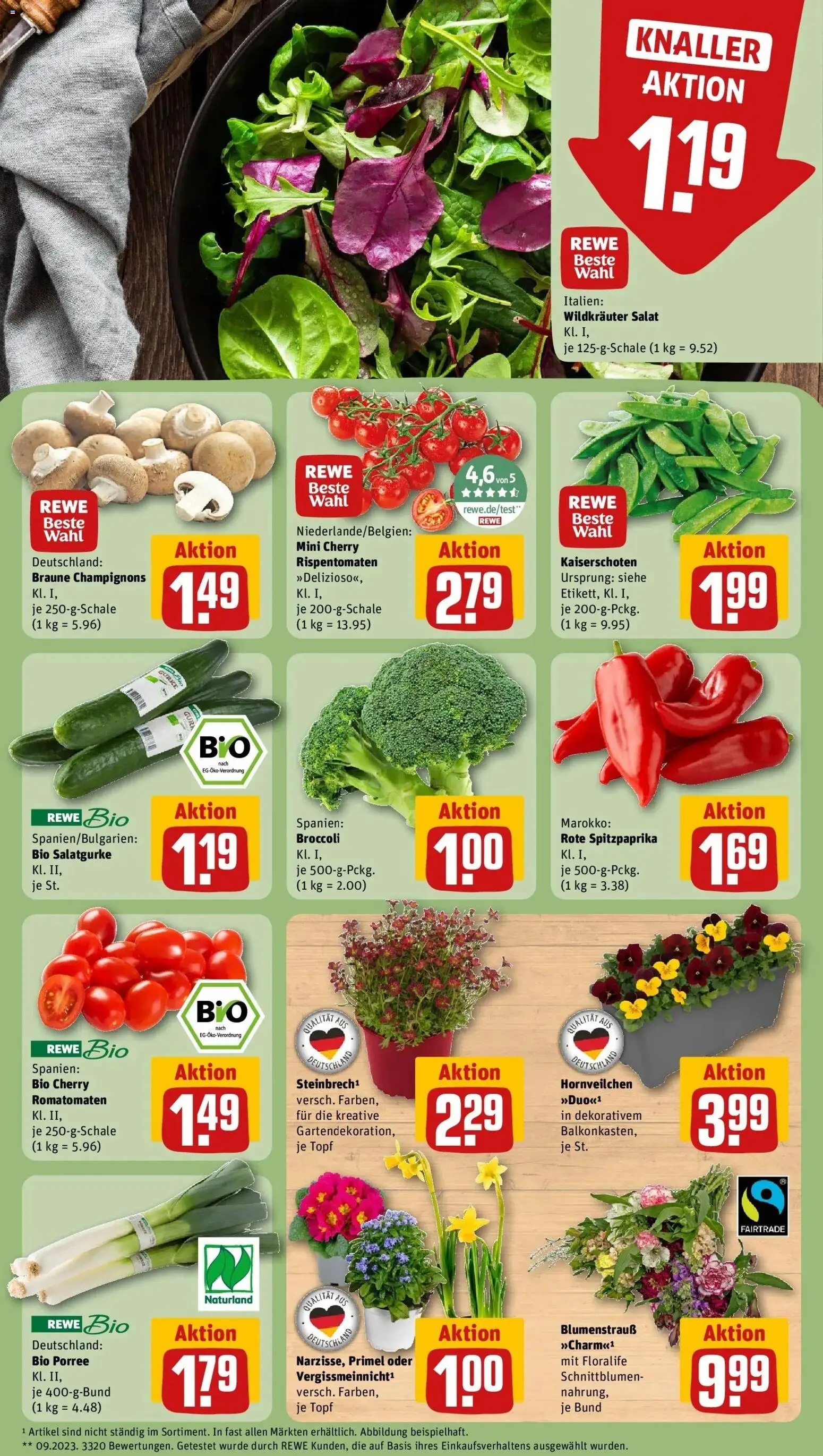 Rewe Prospekt Bad Laasphe	 – gültig ab 09.03.2026 | Seite: 7 | Produkte: Champignons, Salat