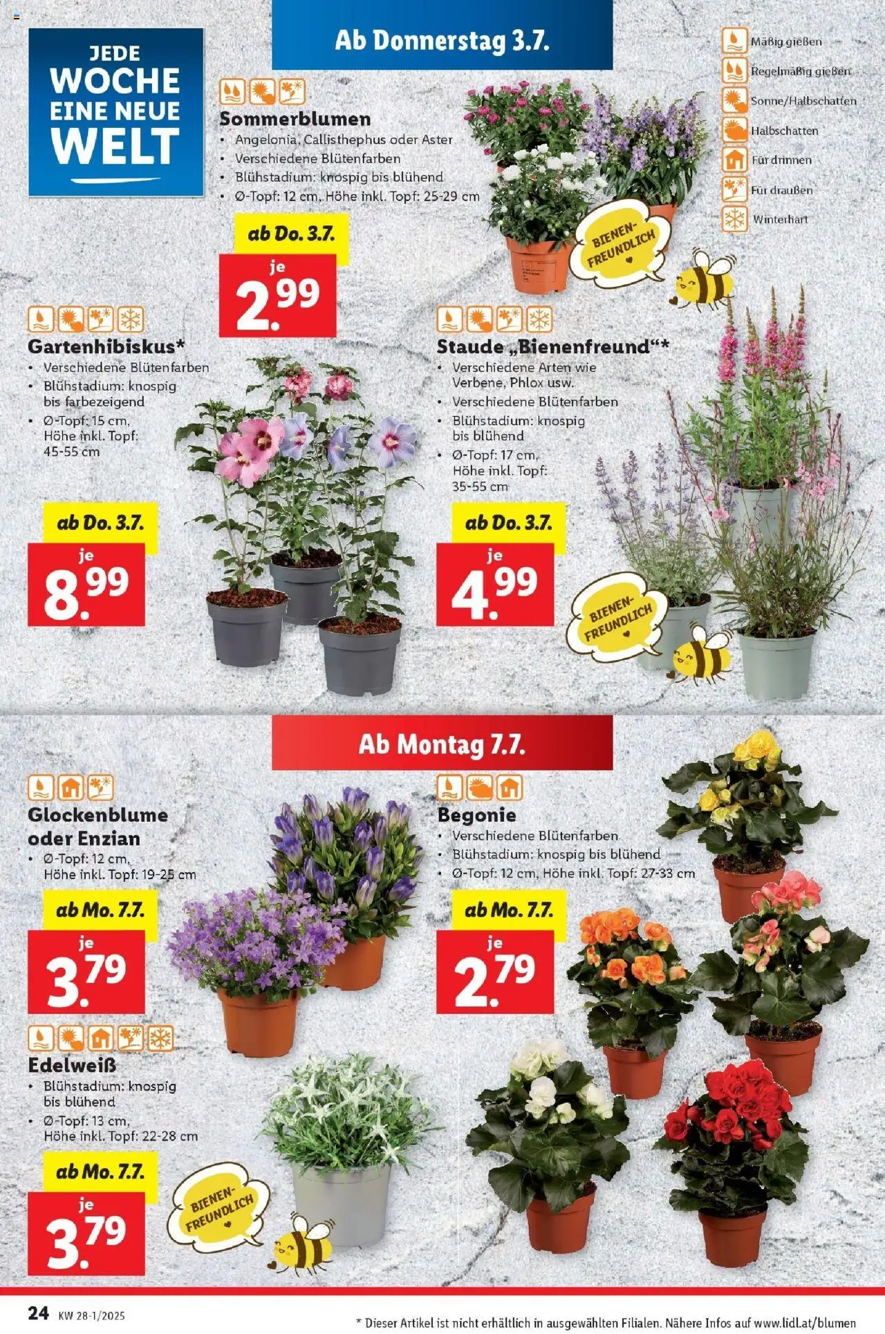 Lidl Flugblatt - Salzburg, Dornbirn, Jenbach gültig ab 02.07.2025 | Seite: 26