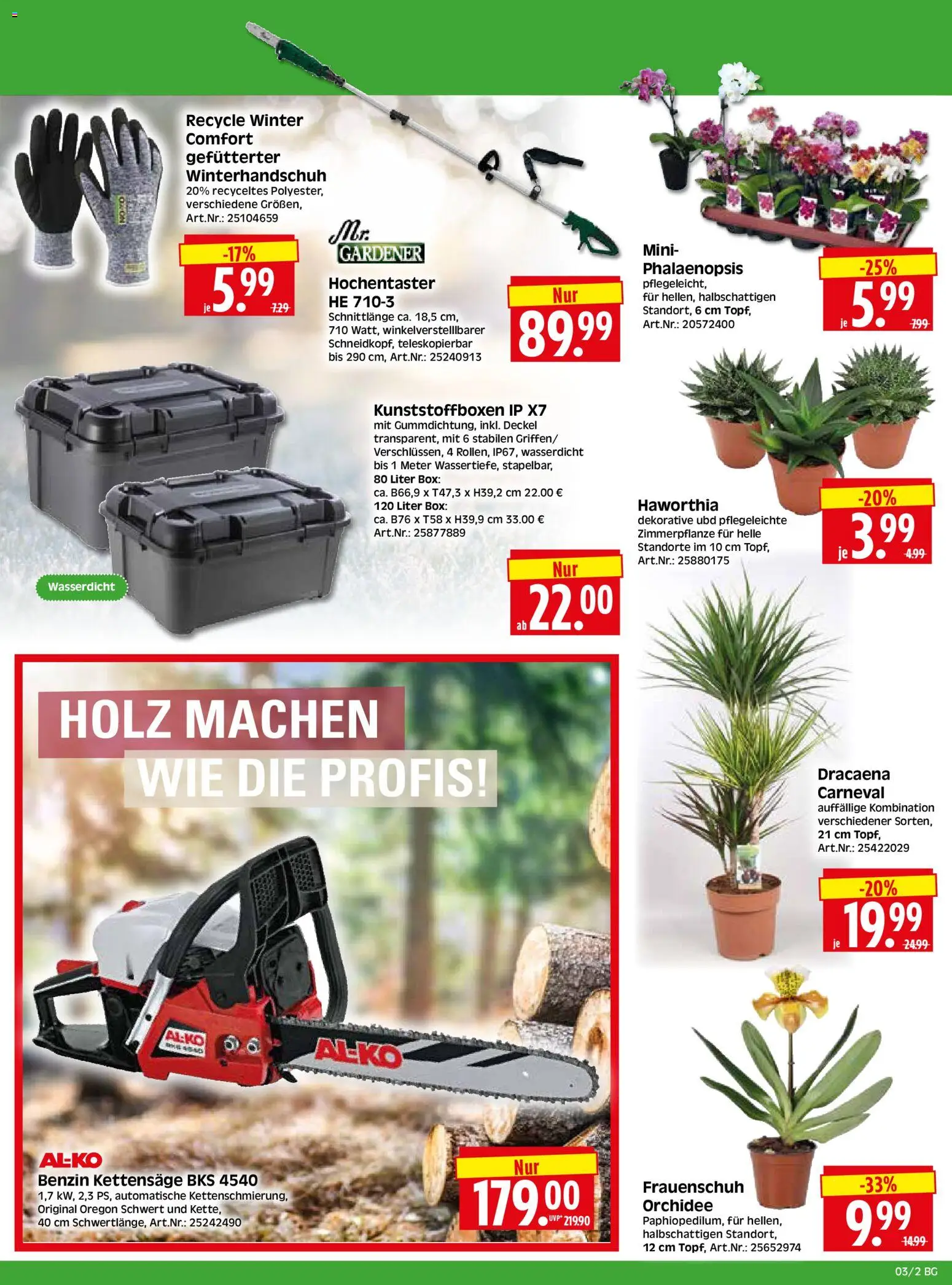 HERKULES Bau & Garten – gültig ab 12.01.2026 | Seite: 2 | Produkte: Orchidee, Box