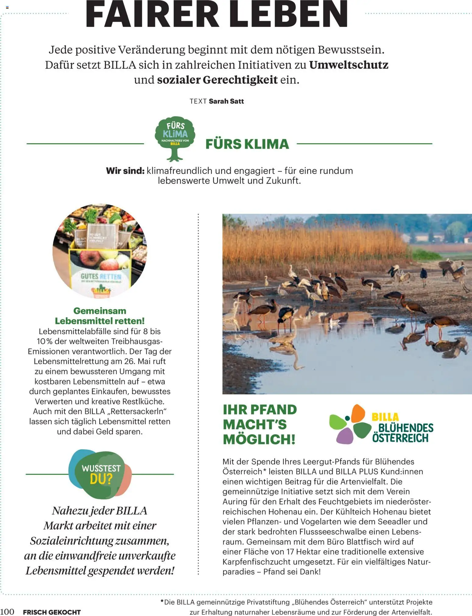Billa Frisch Gekocht gültig ab 01.05.2026 | Seite: 100 | Produkte: Libacomb