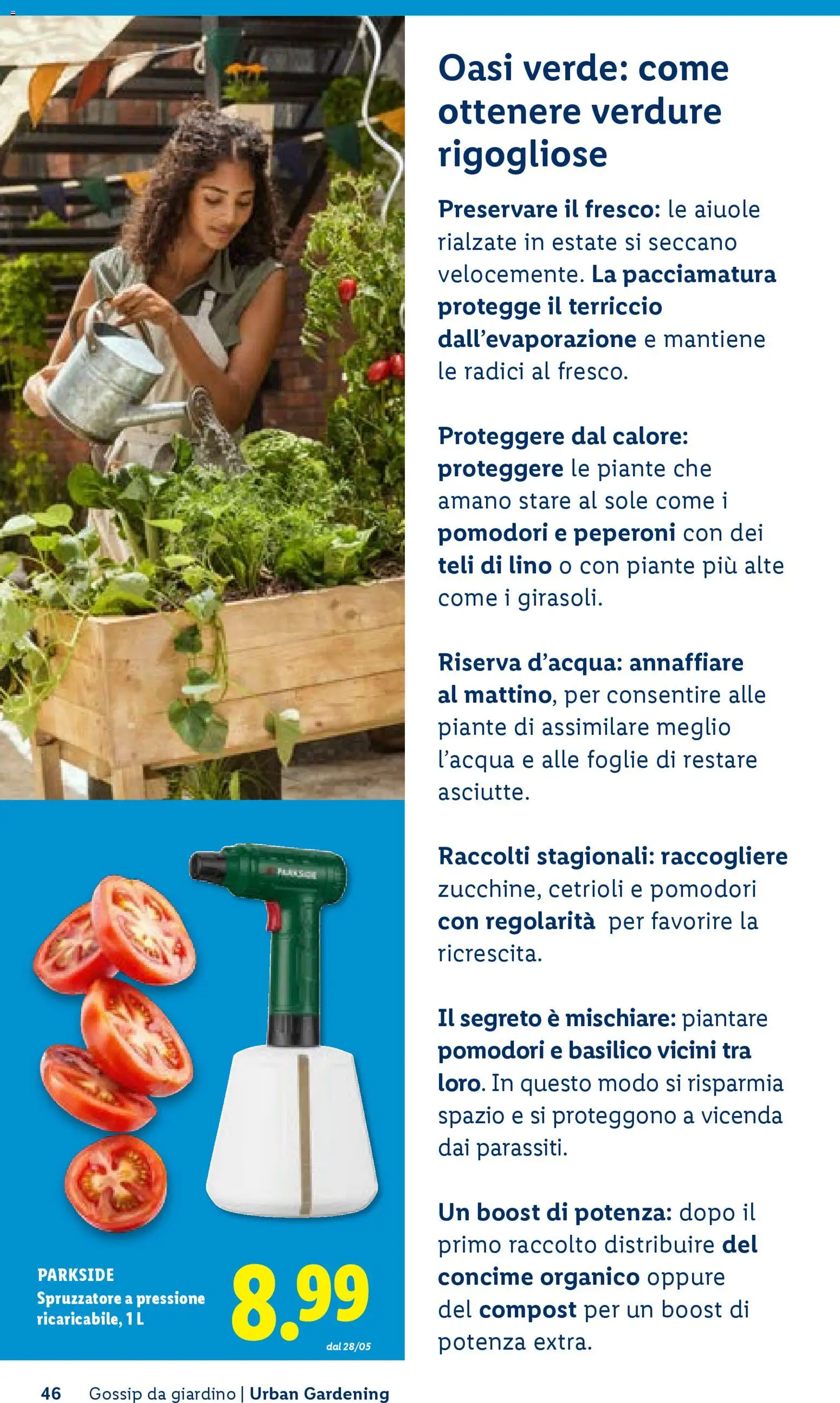 Volantino Lidl del 23.04.2026 | Pagina: 46 | Prodotti: Concime, Peperoni, Cetrioli, Verdure