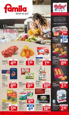 Famila Prospekt 	 gültig ab dem 11.08.2025