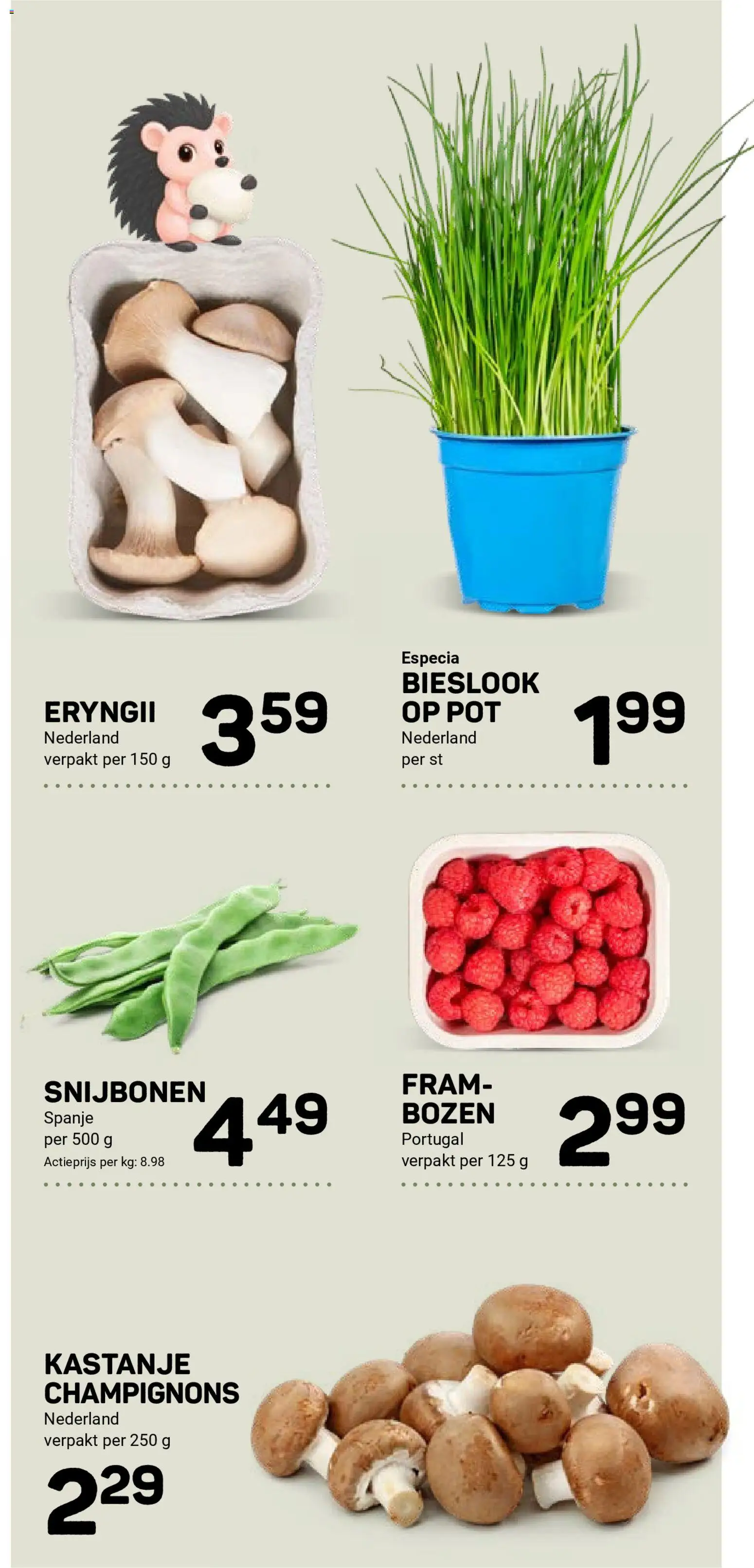 {H1} | Pagina: 12 | Producten: Pot