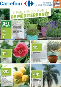 Carrefour - Prévisualisation de Carrefour Le meilleur des plantes méditerranéennes valide à partir de 04.02.2026