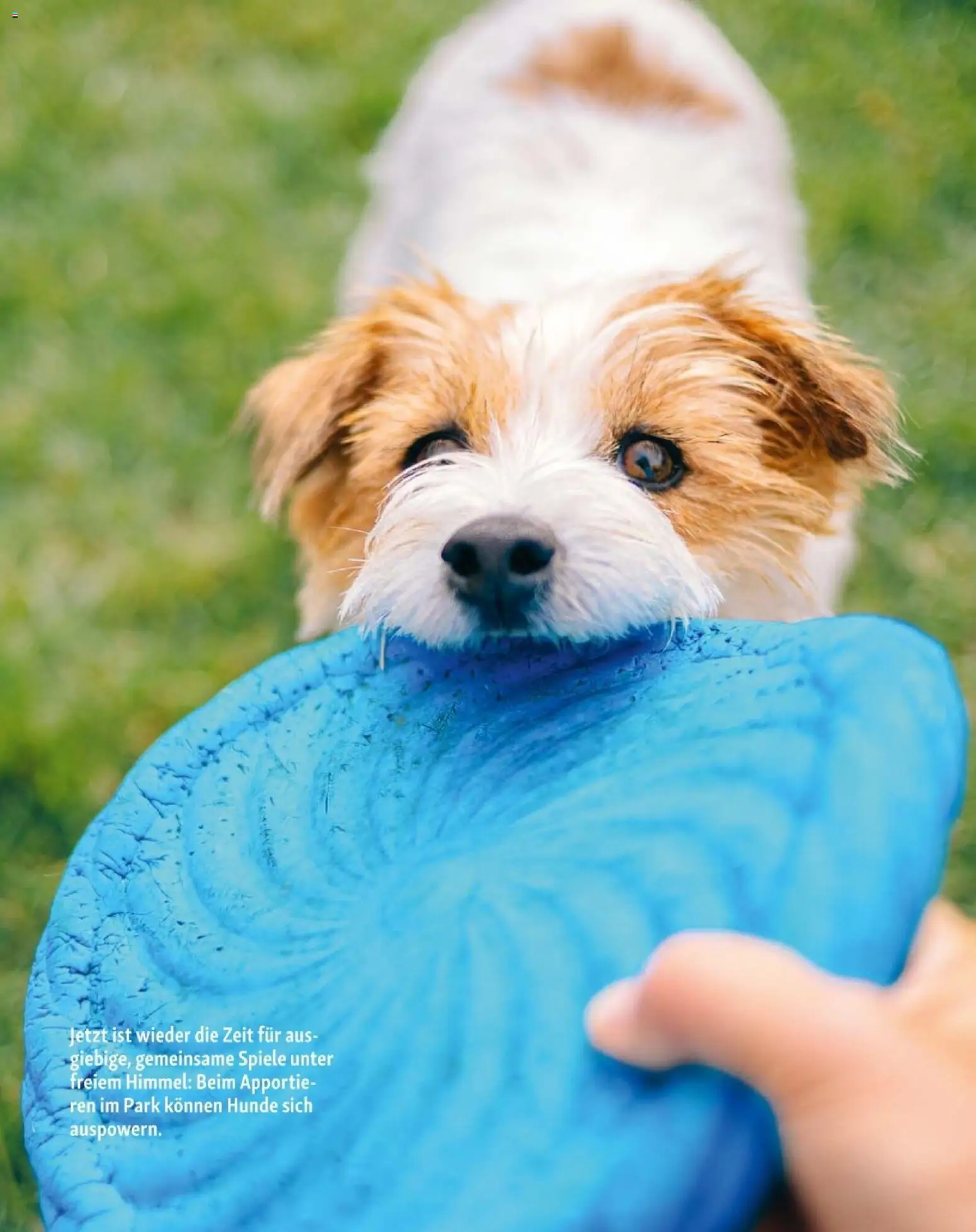 Fressnapf Friends 02/26 gültig ab 01.03.2026 | Seite: 15