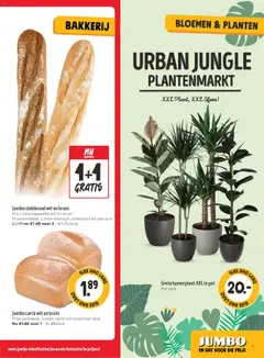 JUMBO folder / publicité - Voorbeeld van een folder van JUMBO, geldig van 15.10.2025 | Pagina: 5