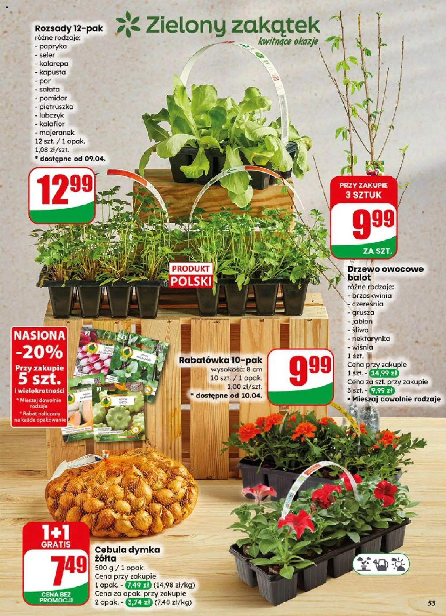 Dino gazetka od 08.04.2026 | Strona: 53 | Produkty: Kapusta, Nektarynka, Por, Papryka