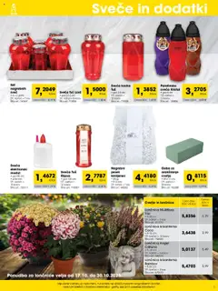 Tuš katalog akcije – veljaven od 01.10.2025 | Stran: 5 | Izdelki: Sveča, Cvetje, Goba, Svece