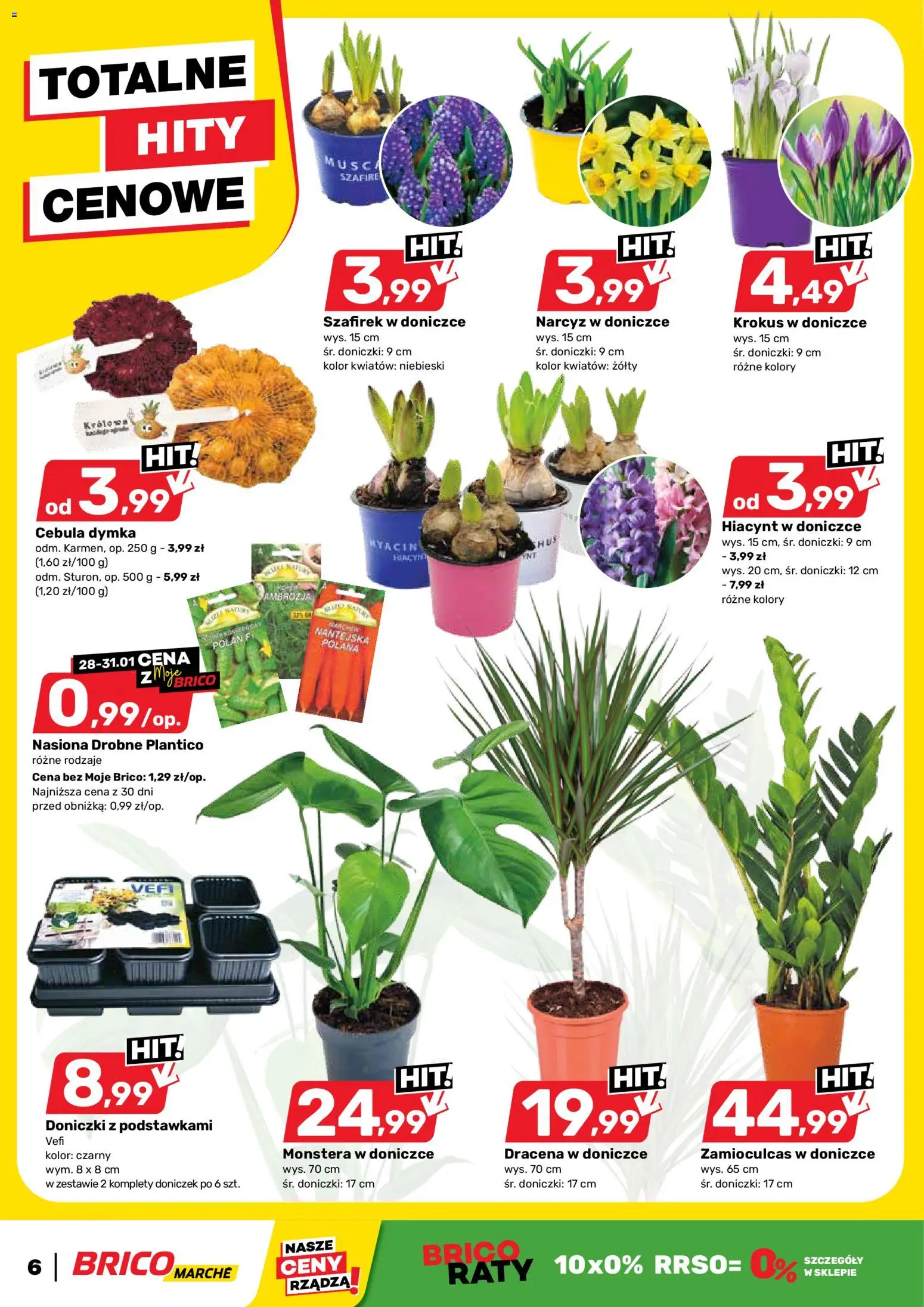 Brico Marché Gazetka od 28.01.2026 | Strona: 6 | Produkty: Nasiona, Zamioculcas, Doniczki