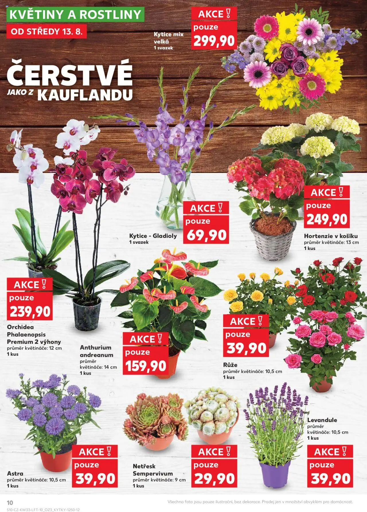 Kaufland leták - Brno od 13.08.2025 | Strana: 10 | Produkty: Květináče, Rostliny, Kytice, Květiny